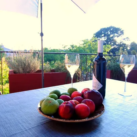 Relax & Enjoy - Marcana Apartments Room photo